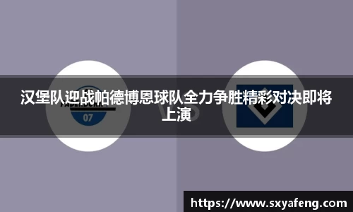 汉堡队迎战帕德博恩球队全力争胜精彩对决即将上演